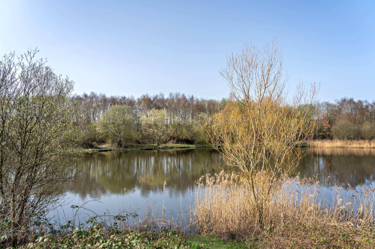 Friends of Walton Colliery Nature Park